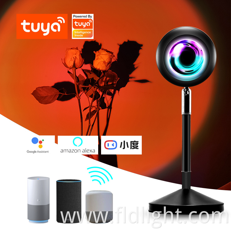 Atmosphere Lights Tuya smart life Remote Control 16 Colors 